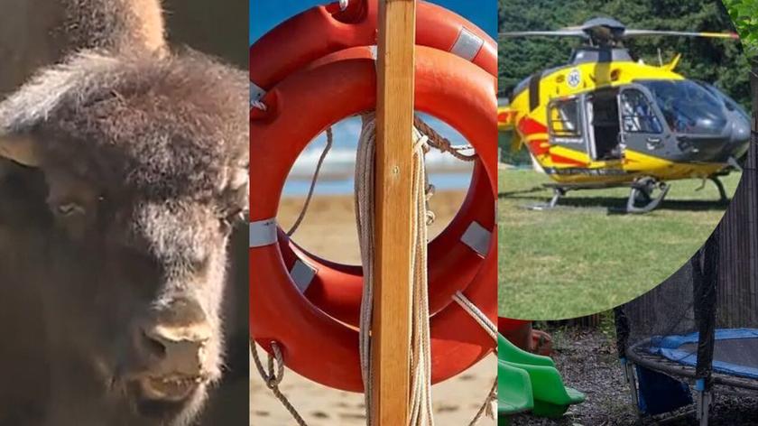 Ratownicy odnaleźli zaginione dziecko, ucieczka bizona i podduszony 4-latek
