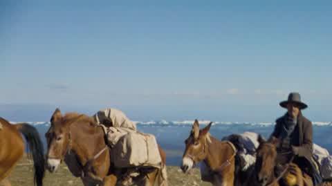 DD_20240629_Costner_rep_REP_napisy
