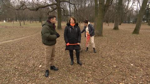 Miejska przestrzeń bezpieczna dla psa 