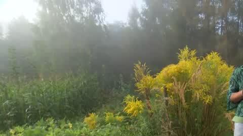 DD_20250902_Pogoda