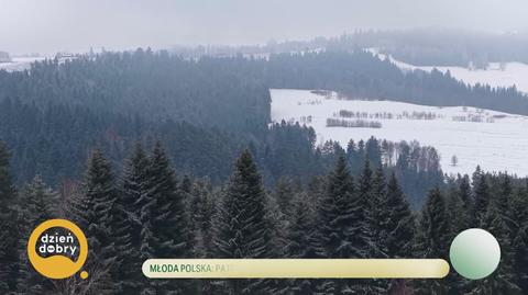 Klatka kluczowa-308509