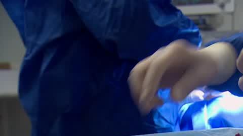 DD_20220501_Mol_rep_REP