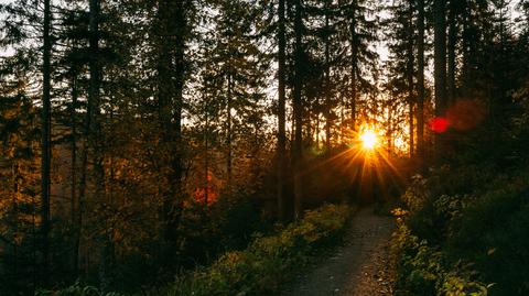 Babiogórski Park Narodowy