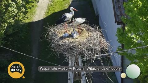 Klatka kluczowa-445970