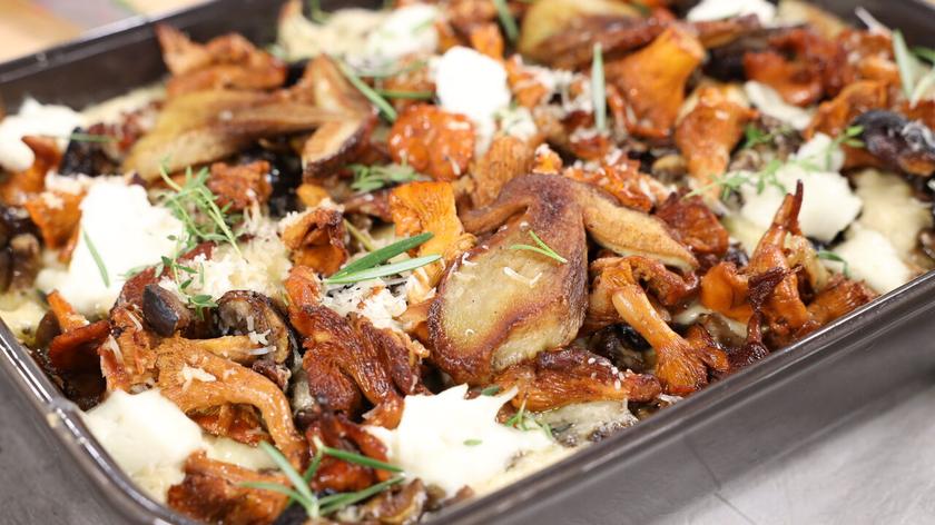 Lasagne z grzybami leśnymi