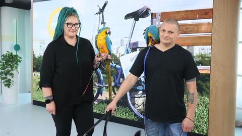 Mają 2 psy i 3 papugi. Jak wygląda ich codzienność? "Mają dużo zabawek i własny pokój"