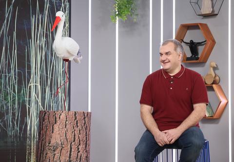 Bociany wracają do Polski. Dlaczego nie lecą przez Włochy? "Trzeba było zmienić trasę" 