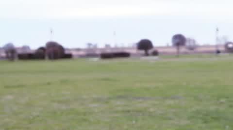 DD_20250110_Repinski_rep_REP_1