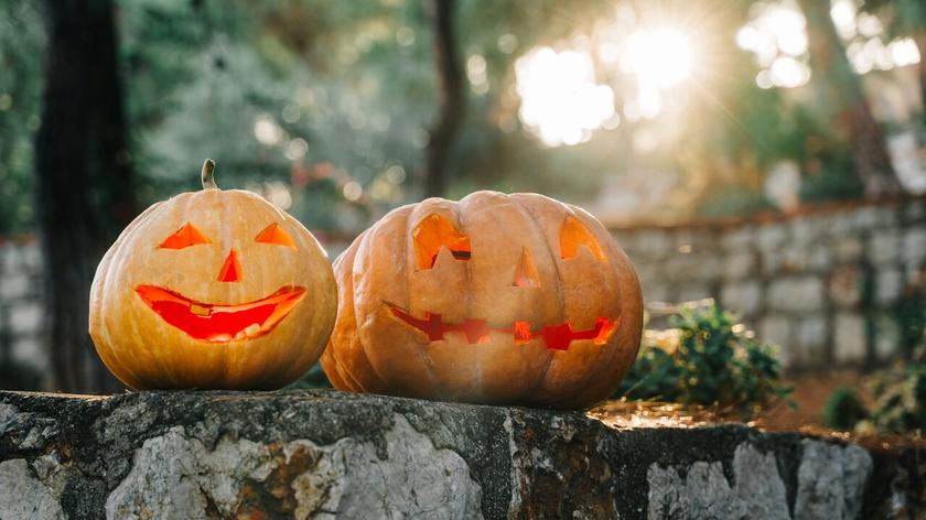 Wycięte dynie na Halloween