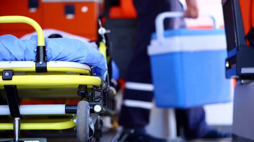 Transplantacja narządów
