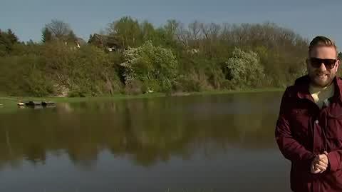 Przyjaciele wędkarze na tropie sumów – gigantów