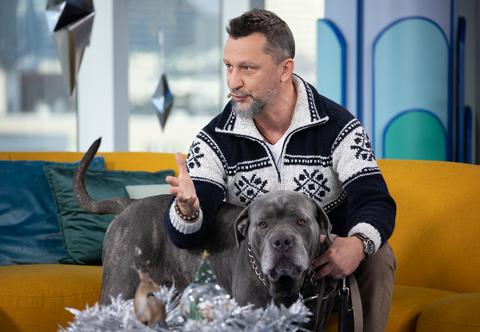Wszystko o Cane Corso. Czy to pies dla każdego?