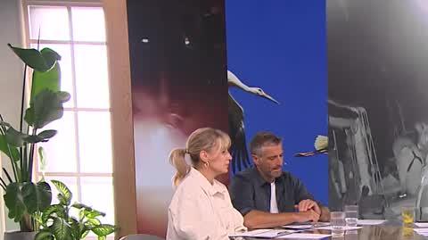DD_20251002_News