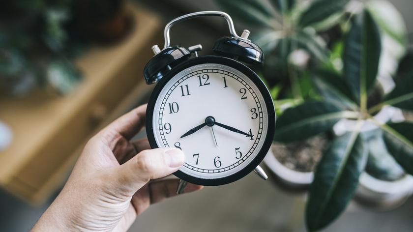 osoba, która trzyma zegarek 