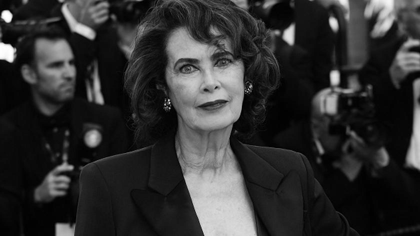 Dayle Haddon