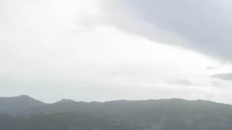 Szkocja na dziko