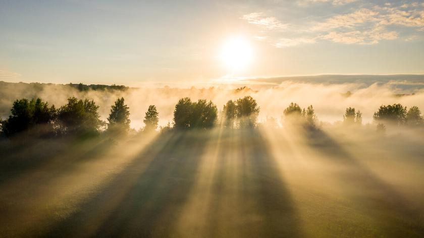 Mgła nad polem i słońce