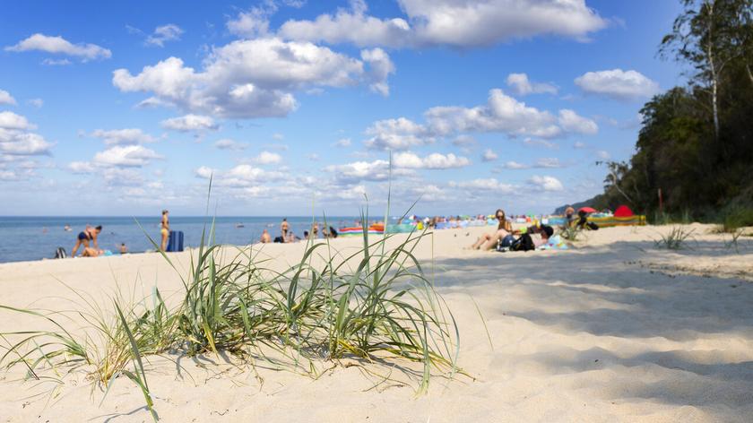 Turyści na plaży