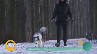 Bezpieczeństwo w twoich rękach - napisy