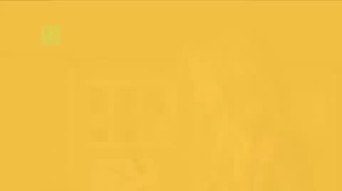 "N