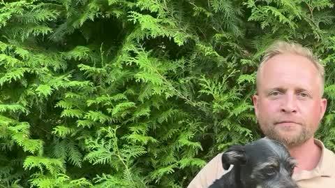 Piotr Adamczyk zachęca do czipowania zwierząt 