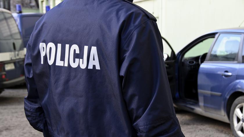 policja