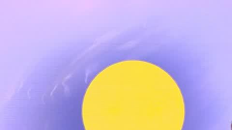 DD_20240211_Newsy_1_REP_1