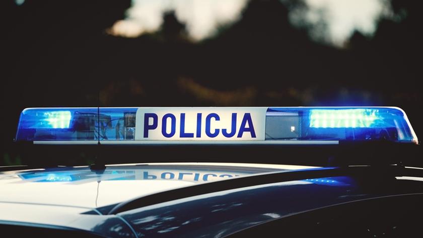 policja