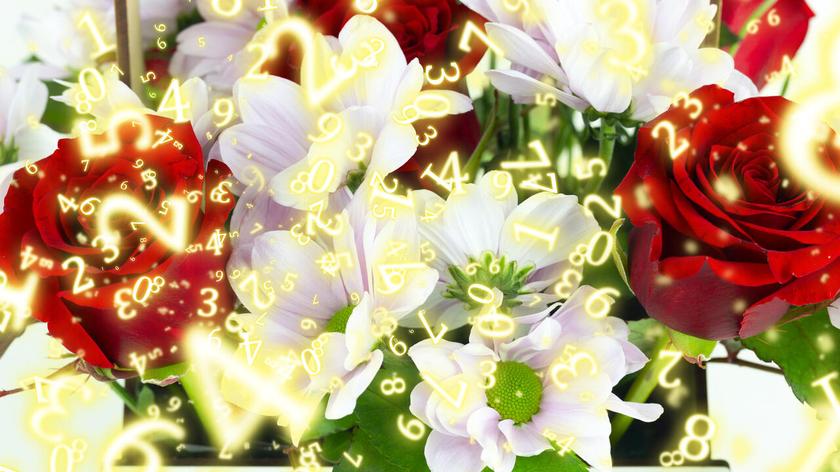 Numerologia, kwiaty