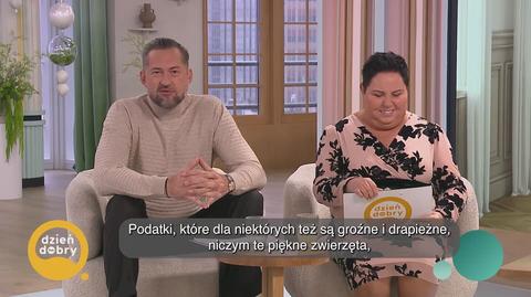 Klatka kluczowa-246438