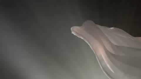 DD_20251015_Igo_rep_napisy