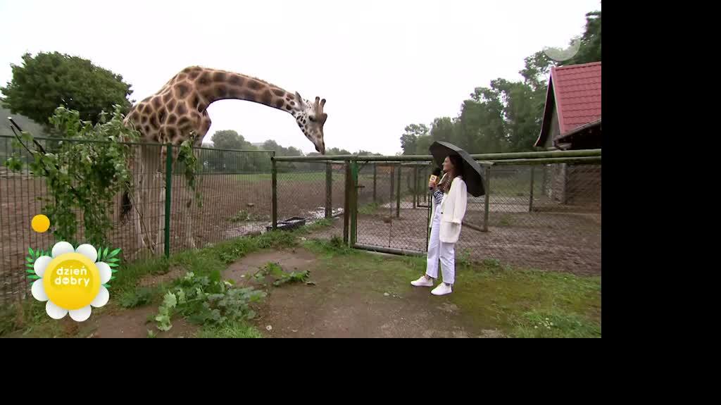 Z wizytą w gdańskim ZOO