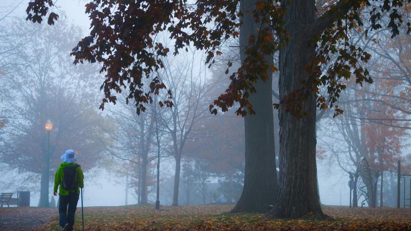 Park we mgle jesienią