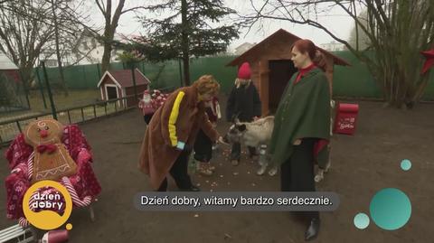 Klatka kluczowa-117565