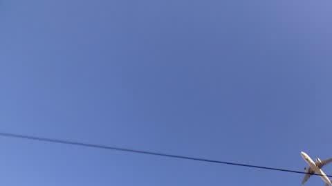 DD_20221210_Cessanis_rep_REP