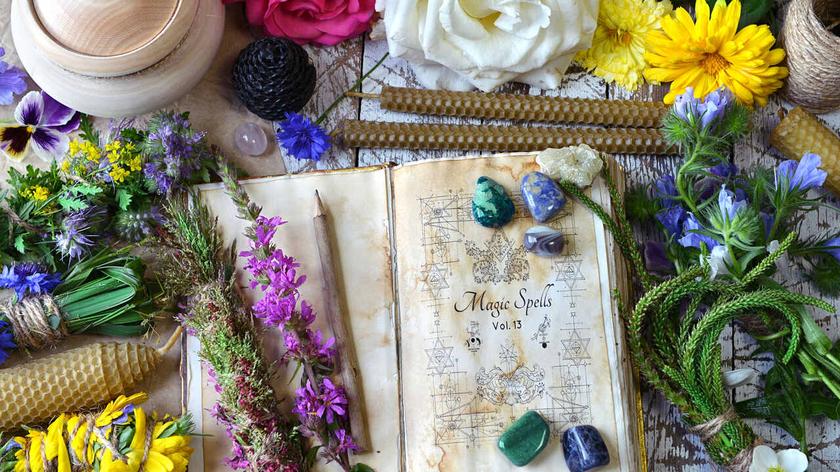 Księga i zioła wokół niej