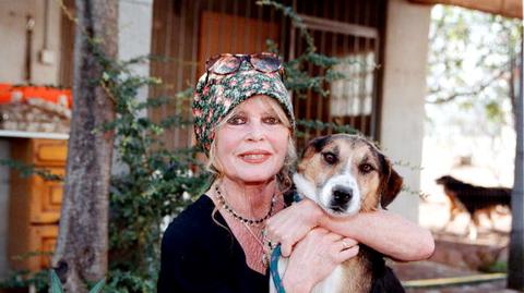 Brigitte Bardot przeszła operację