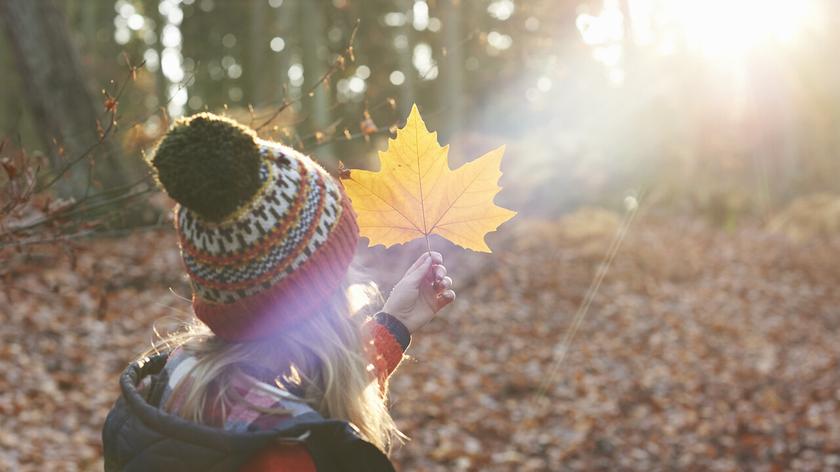 Kobieta w lesie, trzymająca jesienny liść