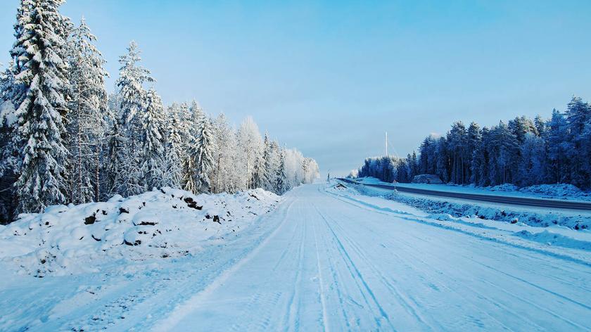 Zimowy krajobraz z drzewami i drogą