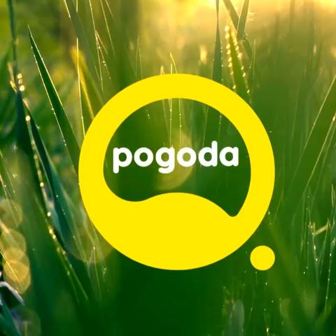 Pogoda