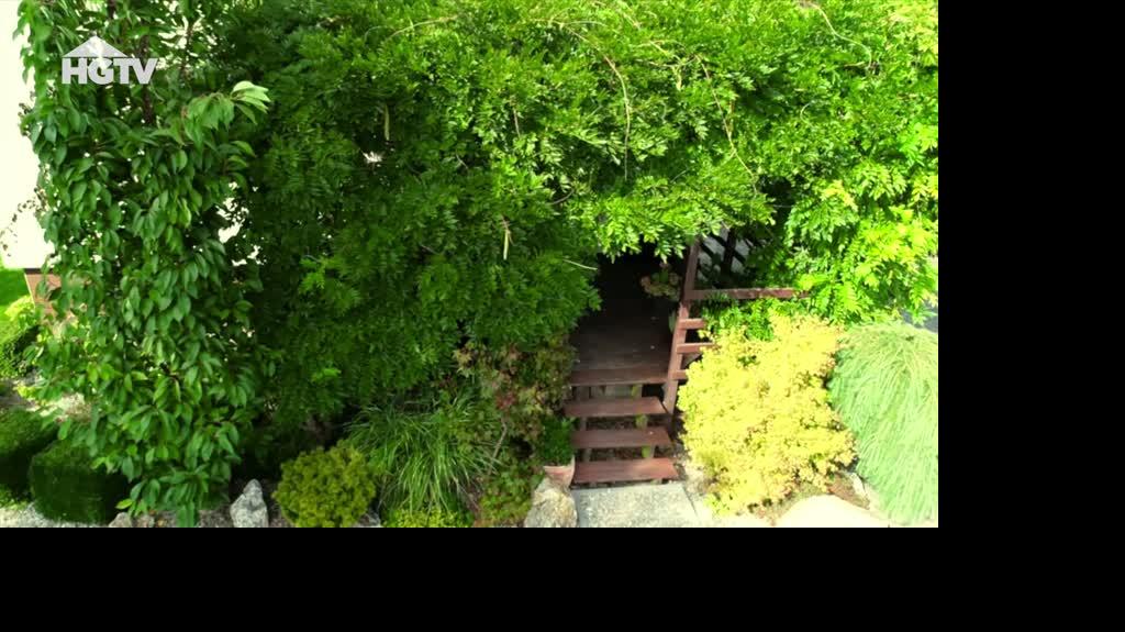 20240415_HGTV_NMWO_Hortensje