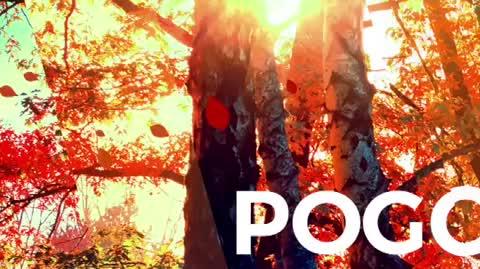 Pogoda na 11-13