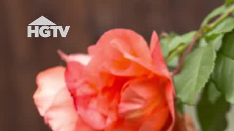 HGTV_NMWO_Roze