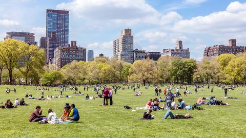 Central Park w Nowym Jorku 