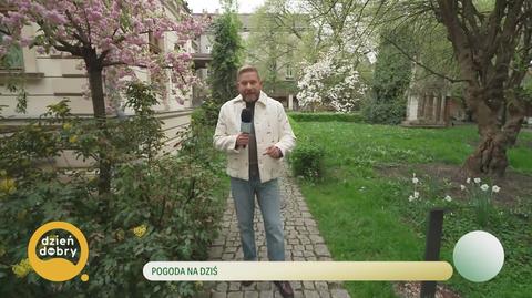 Klatka kluczowa-376016