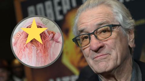 Córka Roberta De Niro dokonała coming outu.