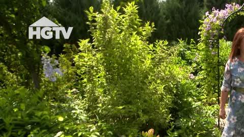 20250220_HGTV_NMWO_Rabaty