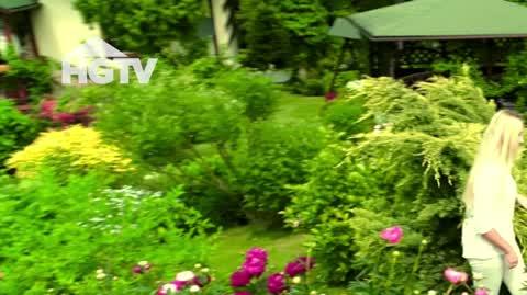 20240813_GHTV_NMWO_Piwonie