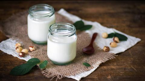 Duńscy badacze zrobili jogurt z wykorzystaniem mrówek 
