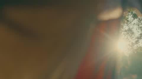 DD_20250622_Umont_DDTVN